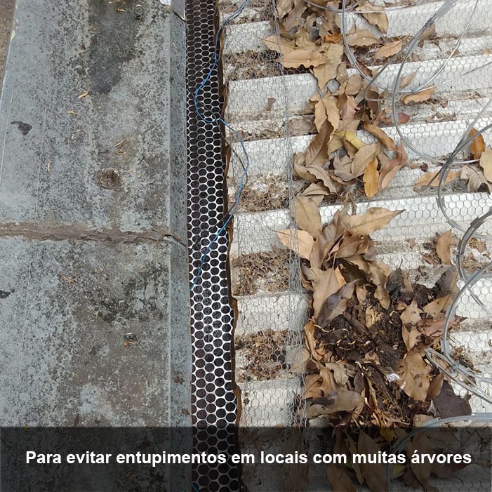 Chapas Rossi